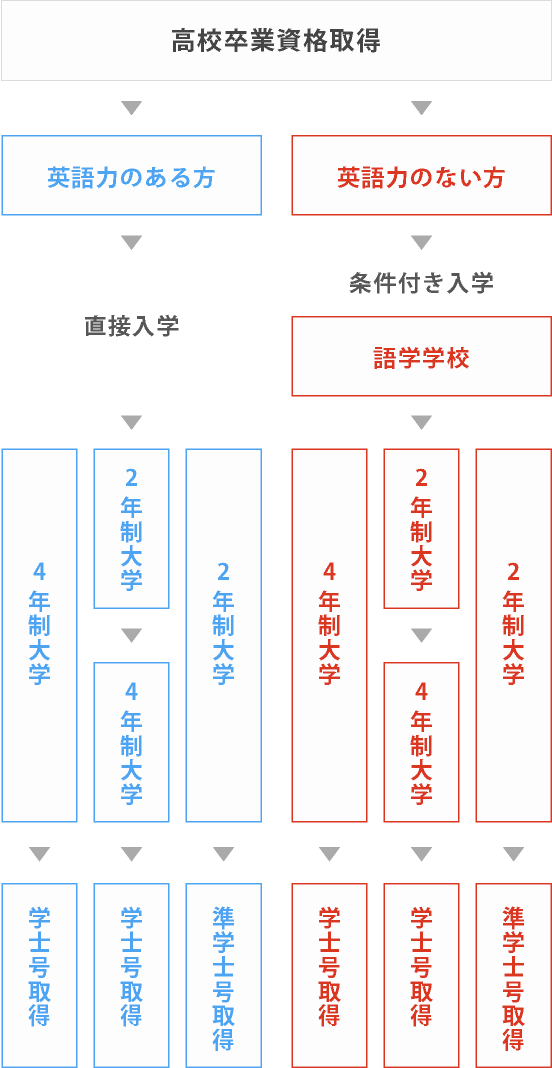 入学の流れ